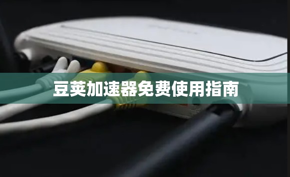 豆荚加速器免费使用指南