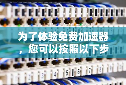 为了体验免费加速器，您可以按照以下步骤操作