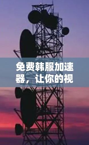 免费韩服加速器，让你的视频传输速度飞快！