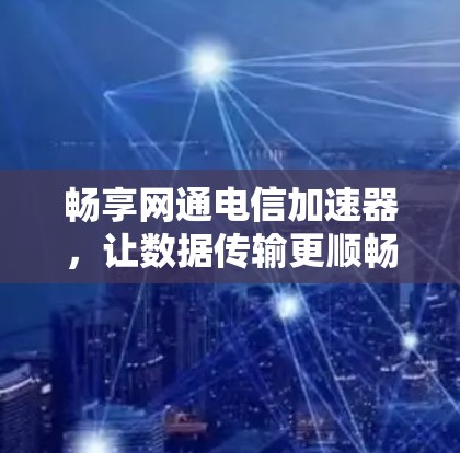 畅享网通电信加速器，让数据传输更顺畅！
