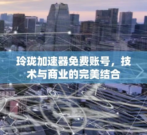 玲珑加速器免费账号，技术与商业的完美结合