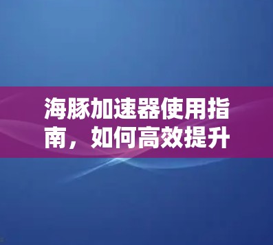 海豚加速器使用指南,如何高效提升数据传输速度?