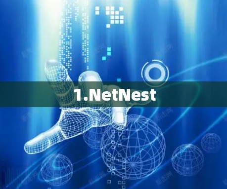 1.NetNest