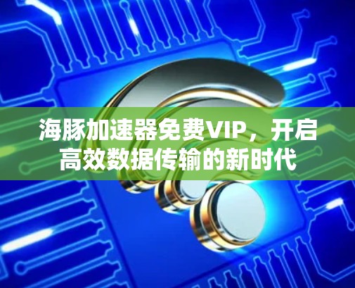 海豚加速器免费VIP,开启高效数据传输的新时代