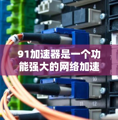 91加速器是一个功能强大的网络加速工具,支持多种下载和上传功能,包括本地下载加速、网络下载加速、上传加速器和自动加速等。以下是使用91加速器的详细指南