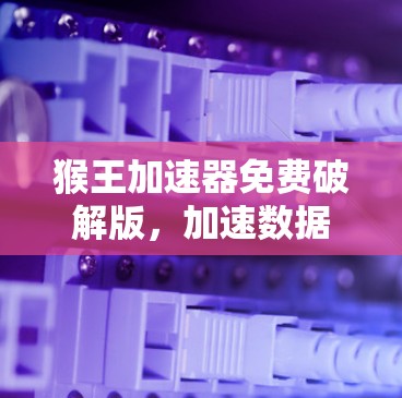 猴王加速器免费破解版，加速数据传输的终极秘籍