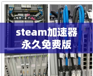 steam加速器永久免费版
