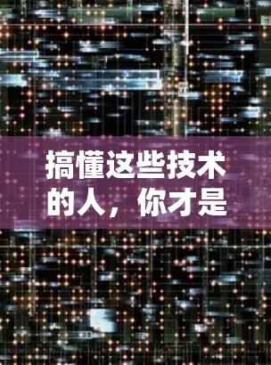 搞懂这些技术的人,你才是 Free!