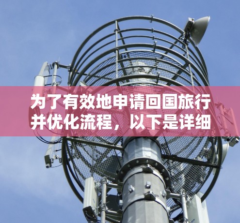 为了有效地申请回国旅行并优化流程,以下是详细的步骤和建议