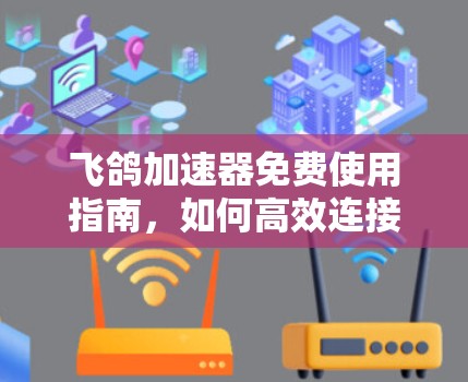 飞鸽加速器免费使用指南，如何高效连接网络？