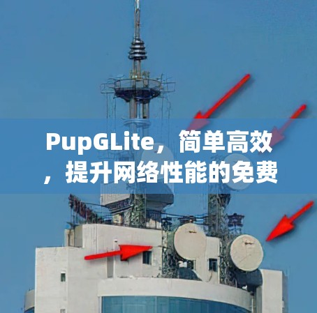PupGLite,简单高效,提升网络性能的免费加速器 PupGLite,简单高效,提升网络性能的免费加速器