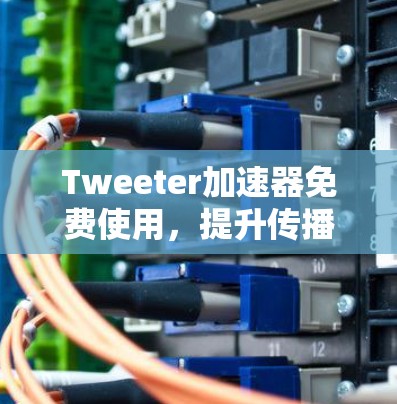 Tweeter加速器免费使用,提升传播率的高效方法