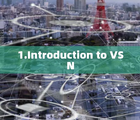 1.Introduction to VSN