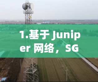 1.基于 Juniper 网络，SG VPN 依赖 Juniper 网络提供的核心网络基础设施，确保VPN的安全性和稳定性